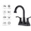 2-Handle Lavatory Faucet Bathroom Sink Faucet DS-02-CD-011-541-MB