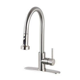 Stainless Steel Pull Down Kitchen Faucet with Sprayer Brushed Nickel Jybb412Bn