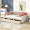 Twin Size Upholstered daybed with Drawers, Wood Slat Support, Beige LP000120AAA