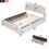 Upholstered Platform Bed with Stud Trim Headboard and Footboard and 4 Drawers No Box Spring Needed, Velvet Fabric, Queen Size (Beige) LP000124AAA