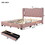 Queen Size Storage Bed Linen Upholstered Platform Bed with 3 Drawers (Pink) LP000713AAH