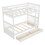 Twin-Over-Twin Bunk Bed with Ladders and Two Storage Drawers (White) LT000265AAK-1