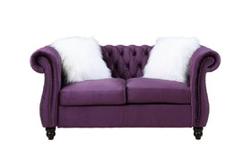 Acme Thotton Loveseat with 2 Pillows in Purple Velvet LV00341