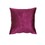 ACME Heibero Loveseat w/2 Pillows, Burgundy Velvet LV01401