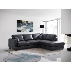 ACME Geralyn Sectional Sofa w/2 Pillows, Black Leather LV02397