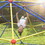 Kids Climbing Dome Jungle Gym - 10 ft Geometric Playground Dome Climber Play Center with Rust & UV Resistant Steel, Supporting 1000 LBS MS306131AAC