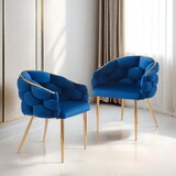 Set of 2 Luxury Handmade Accent Chair with Gold Legs, Modern Velvet Armchair for Living Room and Bedroom N765P178333B