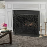 Thayer Single Panel Iron Fireplace Screen N825P201303