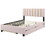 Queen Size Upholstered Platform Bed with 2 Drawers and 1 Double Trundle, Classic Metal Strip Headboard Design, Pink SF000159AAH