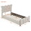 Twin Size Upholstered Platform Bed Velvet Upholstered Bed, Beige SF000160AAA