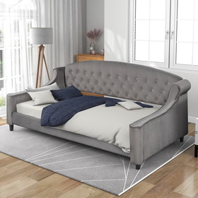 Luxury Tufted Button Daybed, Twin, Gray Sm001008Aae