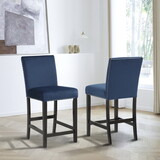 Cobre Contemporary Velvet Counter Stool with Nailhead Trim, Set of 2, Blue T2574P165095