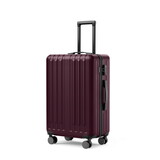 24-inch checked luggage with 360°Spinner Wheels Suitcases with Hard-sided Lightweight ABS Material