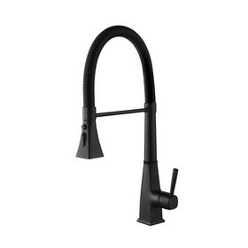 Kitchen Faucet with Pull Down Sprayer TH-4014MB02