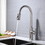 Kitchen Faucet with Pull Out Spraye TH4026NS01