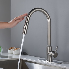 Touch Kitchen Faucet with Pull Down Sprayer Th9001Ns