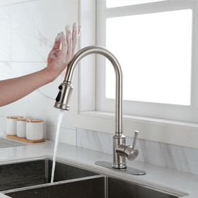 Touch Kitchen Faucet with Pull Down Sprayer Th9013Ns