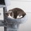 Cat Tree, 105-inch Cat Tower for Indoor Cats, Plush Multi-Level Cat Condo with 3 Perches, 2 Caves, Cozy Basket and Scratching Board, GRAY COLOR W1129107312