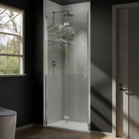 shower door W1135P168818