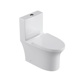 One Piece Dual Flush Elongated Toilet W1166136685