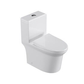 One Piece Dual Flush Elongated Toilet W1166136687