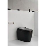 One-Piece Elongated Floor Smart Toilet with Remote Control and Automatic Cover W1166P168419