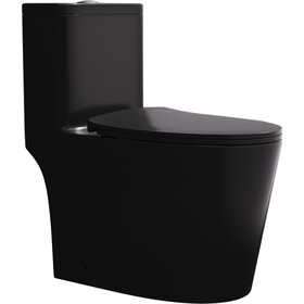 Matte Black One Piece Dual Flush Elongated Toilet