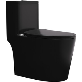One Piece Dual Flush Elongated Toilet W1166P171902