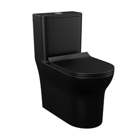 One Piece Dual Flush Elongated Toilet W1166P179058