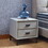 Modern Nightstand with 2 Drawers, Night Stand with PU Leather and Hardware Legs, End Table, Bedside Cabinet for Living Room/Bedroom (Light Gray) W1168114609