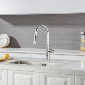 Rainlex Pull Down Touchless Kitchen Faucet W1194135262