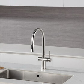 Rainlex Pull Down Kitchen Faucet W1194135293