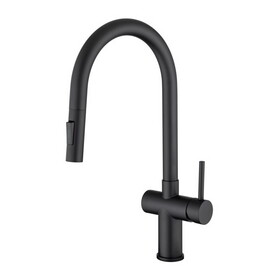 Rainlex Pull Down Kitchen Faucet W1194135297