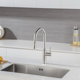 Rainlex Pull Down Kitchen Faucet W1194135298