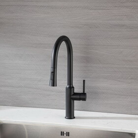 Rainlex Pull Down Kitchen Faucet W1194135299