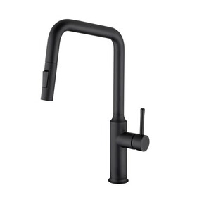 Rainlex Pull Down Kitchen Faucet W1194135308