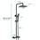 Constant Temperature wall Mounted Shower Combo Set with Shower Head and Hand Shower W121784331