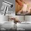 Handheld Bidet Sprayer for Toilet Brushed Nickel W122455697