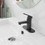 Single Handle Single Hole Low-Arc Bathroom Faucet with Supply Line in Matte Black W123247816