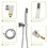 Ceiling Shower set - 10 inch square Shower set, Dual Shower heads, Brushed Nickel W124357677