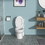 Ceramic One Piece Toilet,Single Flush with Soft Clsoing Seat W124377195