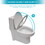 Ceramic One Piece Toilet,Dual Flush with Soft Clsoing Seat W124377199