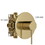 Shower Faucet Set,,Shower System with 10-inch Rainfall Shower Head and Shower Valve, Gold W1243P146866
