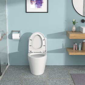 Ceramic One Piece Toilet,Dual Flush with Soft Clsoing Seat
