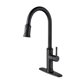 Kitchen Faucet with Pull Out Spraye W127263122
