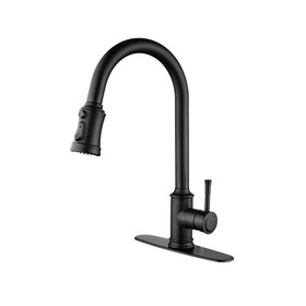 Touch Kitchen Faucet with Pull Down Sprayer W127264809