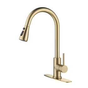Kitchen Faucet with Pull Out Spraye W127264934