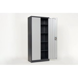 Metal Storage Cabinet with 2 Doors and 4 Shelves, Lockable Steel Storage Cabinet for Office, Garage, Warehouse, (Grey) W129149895