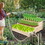 48.6 x 48.6 x 21in Raised Garden Bed Horticulture Outdoor Elevated Flower Box Tiered Garden Bed Wooden Vegetables Growing Planter for Backyard/Patio/Gardener Natural W1422137077