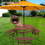 6-Person Circular Outdoor Wooden Picnic Table for Patio, Backyard, Garden, DIY w/ 3 Built-in Benches, 1720lb Capacity - Brown W142281086